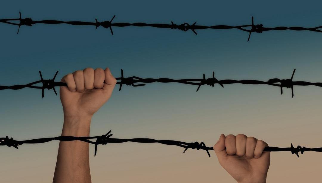 Weilai, Ideal L7, Tucki, Aouita 11, Aouita