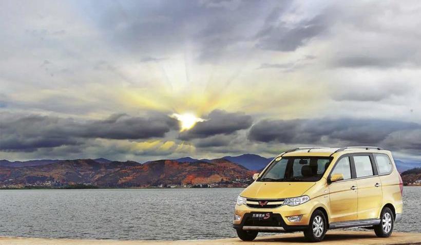 MINI, Hongguang MINIEV, Baojun, Volkswagen, Tesla 