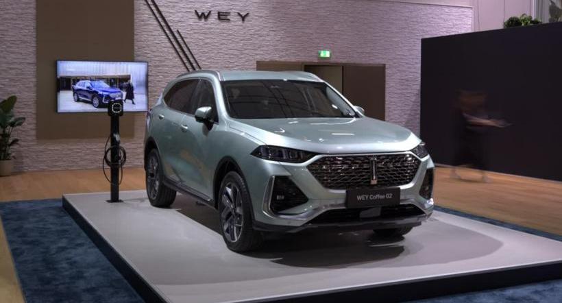 Great Wall, Euler, Wei Brand, Mocha, Euler Good Cat