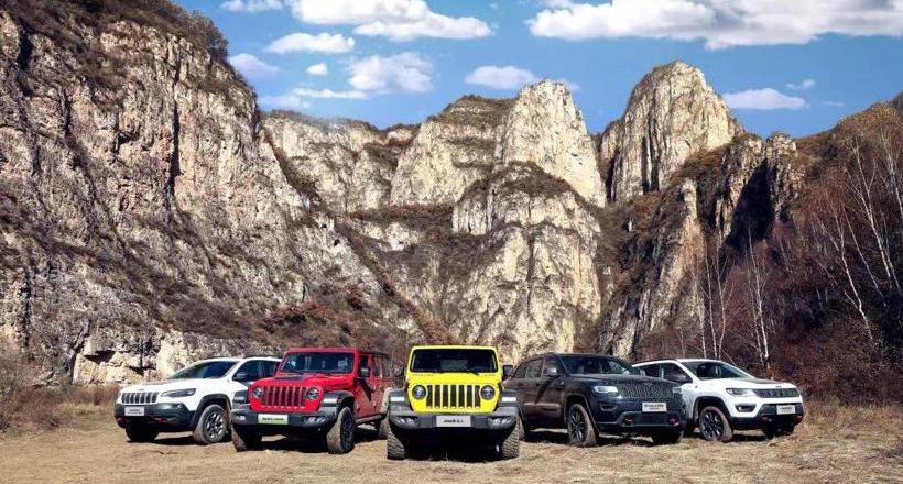 Ford, Tesla, Chevrolet, Jeep, Lincoln