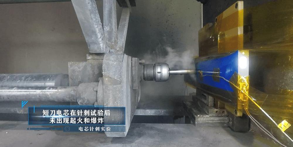 Euler, Euler lightning cat, Chinese