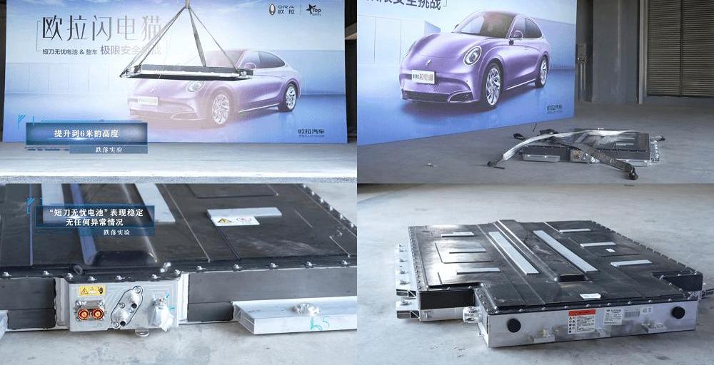 Euler, Euler lightning cat, Chinese