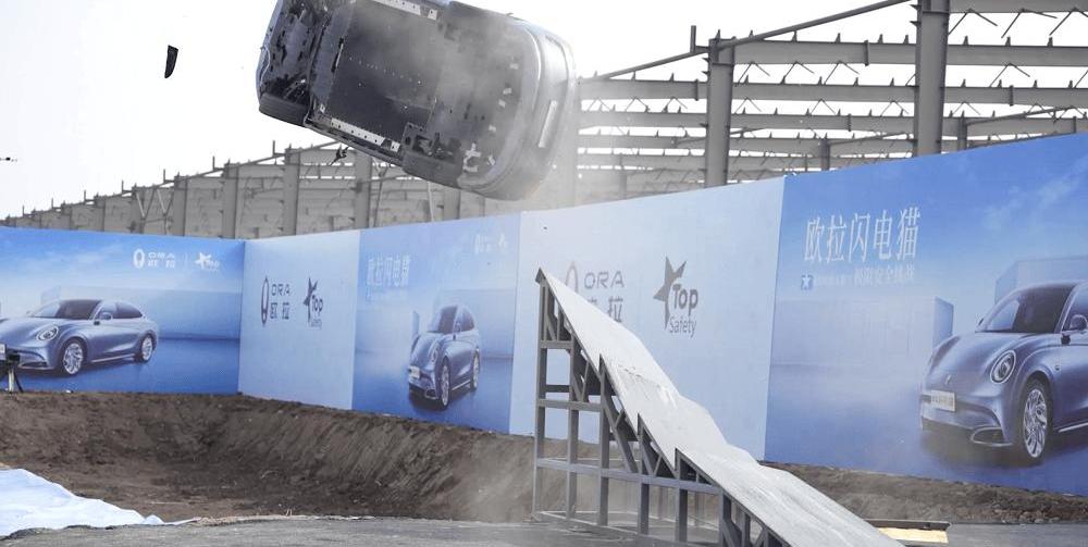 Euler, Euler lightning cat, Chinese