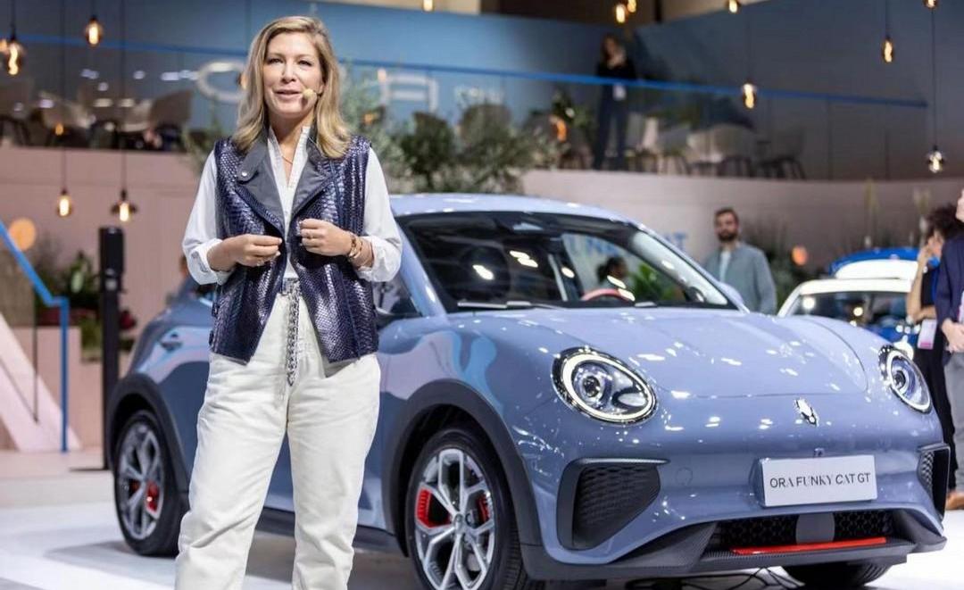 Euler, Great Wall, Euler Good Cat, Euler Lightning Cat, Audi