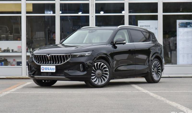 Beijing, Euler, Macan, Hechuang, Wei Brand