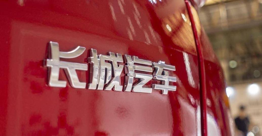 Great Wall, Haval, Euler, Tanks