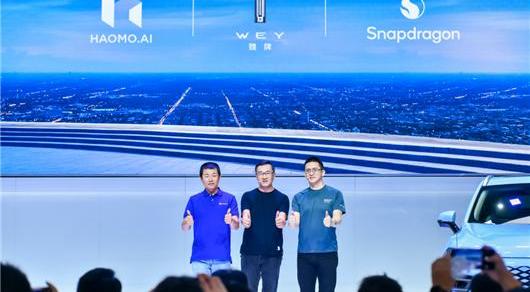 Great Wall, Euler, Haval, Wei Pai, Haval H6