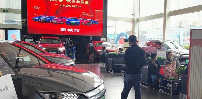 BYD, Dolphin, Haval, Euler, Chery