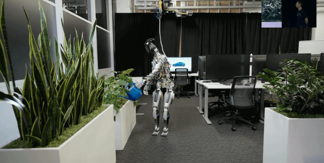 Tesla, zebra, idea, discovery