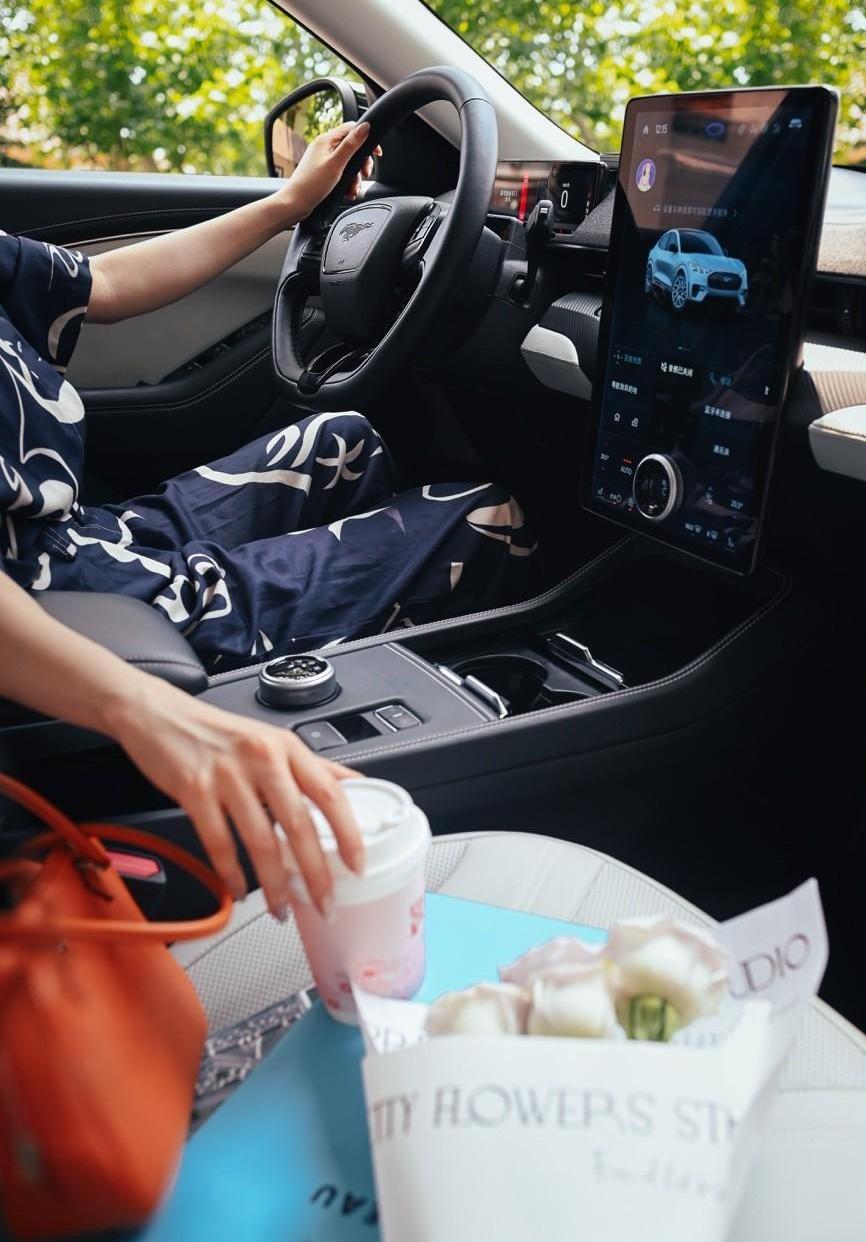 Ford, Ford Electric Horse, Mustang, Idea, Weilai