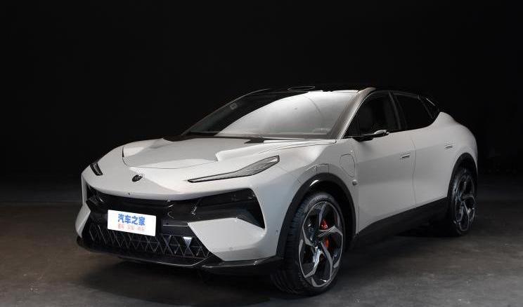 Hengchi, Tesla, Lantu Automobile, Geometric Automobile, Peugeot