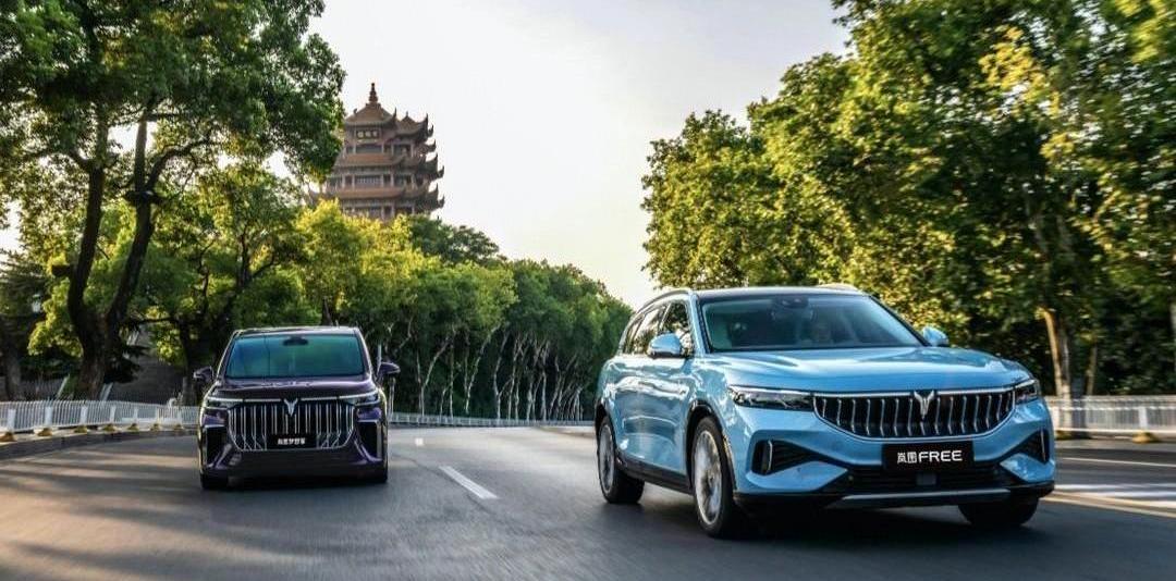 Hengchi, Tesla, Lantu Automobile, Geometric Automobile, Peugeot