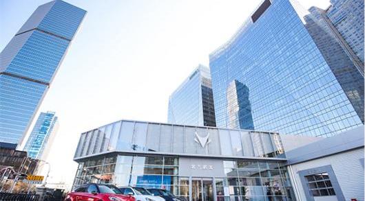 Li ONE, Chang 'an, Tucki, Chang 'an Deep Blue, Tesla