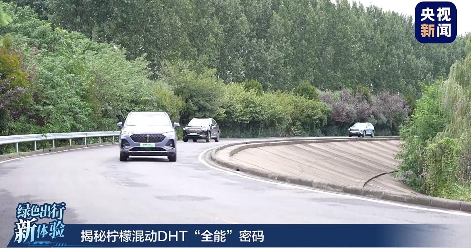 Great Wall, Idea, Dafa, Haval, Wei Brand