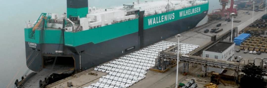 BYD, MG, Weilai, Volkswagen, Tesla