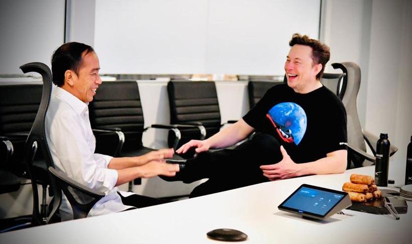 Tesla, Toyota, Ford, Hyundai