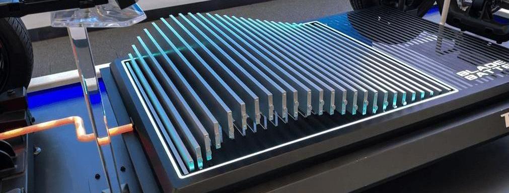 BYD, Tesla, Wei Brand, Dolphin, Great Wall