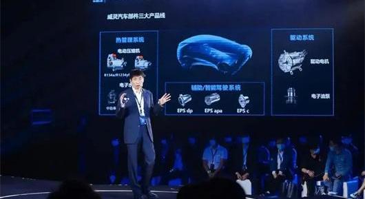 Discovery, Chery, Skyworth Automobile, Tesla