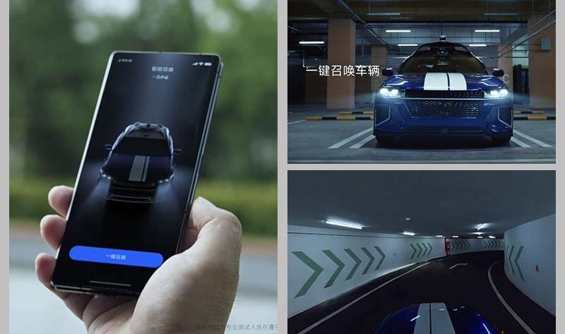 BYD, Zebra, Han, Long Distance, Wen Jie M5