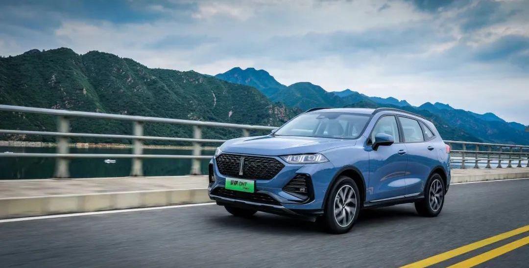 Great Wall, Tank, Haval, Euler, Gun