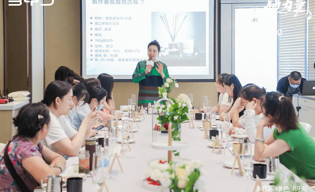 BYD, Han, Beijing, concept, discovery