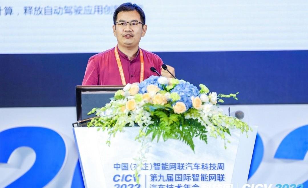 Zebra, idea, wisdom L7