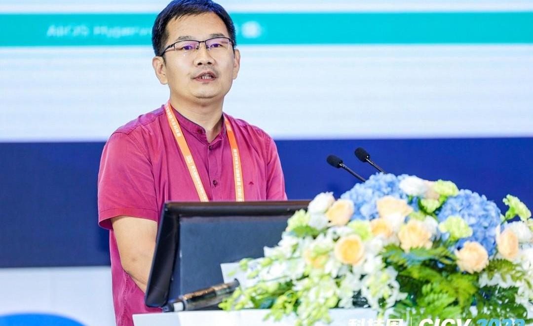 Zebra, idea, wisdom L7