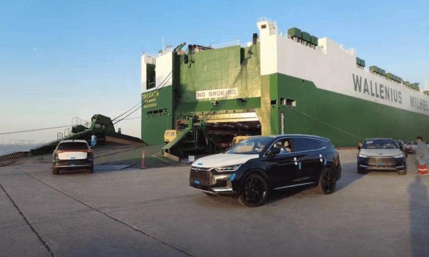 BYD, Aouita, Audi, Nezha, Hyundai