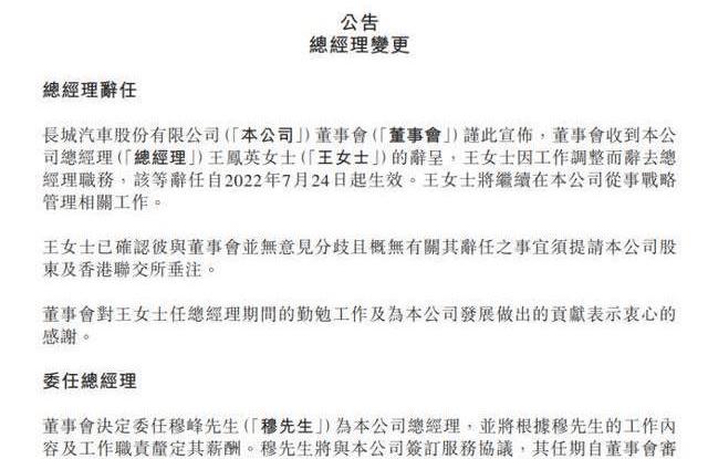 Tucki, MG MULAN, Tesla, Wen Jie M5, Hyundai