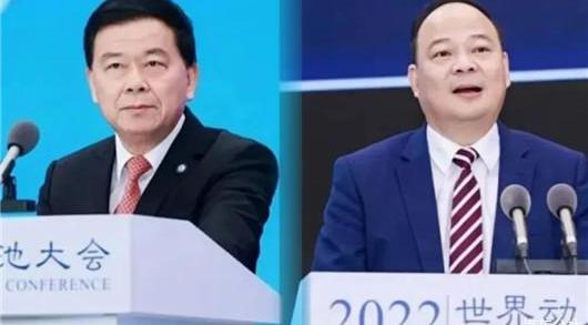 BYD, Civic, Volkswagen, Toyota and Honda