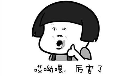 BYD, Civic, Volkswagen, Toyota and Honda