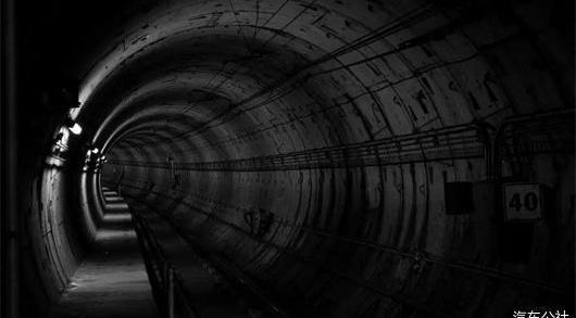 Aichi, BYD, Nezha U, Tesla, Tucki