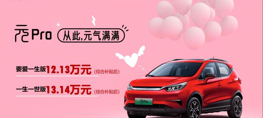 Hyundai, Audi, Tesla, Yuan Pro, Roewe