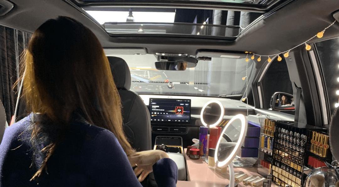 AION Y, Ian, MINI, Euler's good cat, Euler 