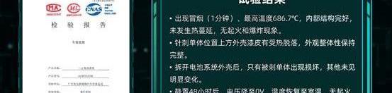 Ai 'an, Tesla, Volkswagen, LI, mini