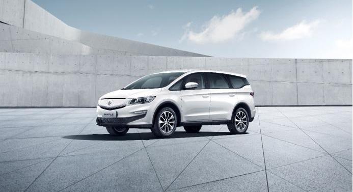 Ai 'an, Tesla, Volkswagen, LI, mini