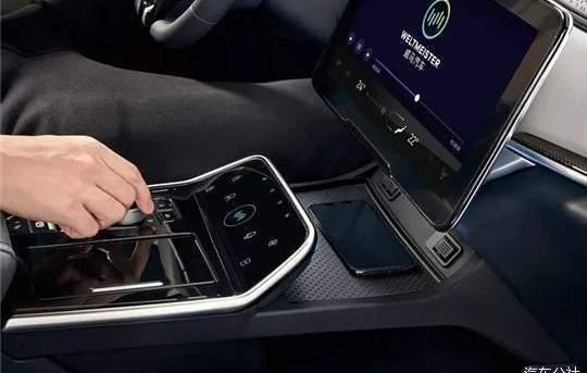 Discovered zebra, Beijing, Weilai and Tucki