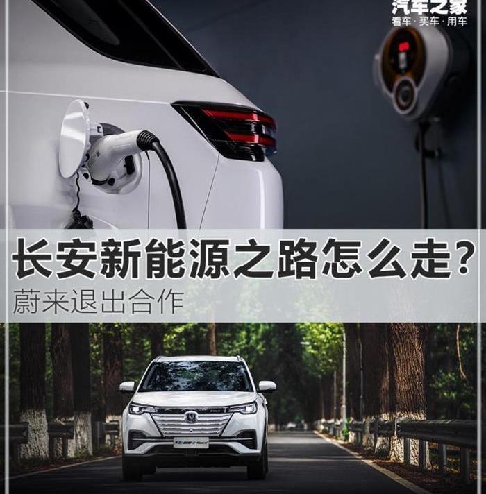 Chang 'an, Weilai, BYD, Beijing, Dongfeng