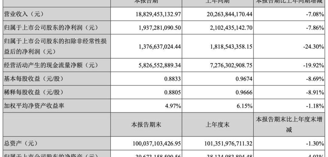 Tesla, BYD, Audi, BMW, model 3