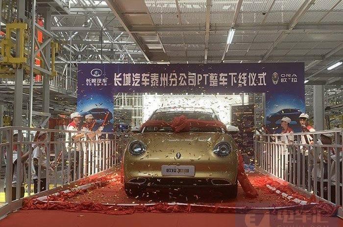 Volkswagen, Tesla, Weilai, Euler Good Cat, Euler