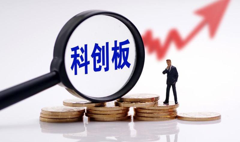 Geely Automobile, BMW, BYD, Guangzhou Automobile Group, Tesla