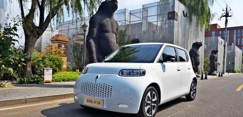 Euler, Euler White Cat, Great Wall, Beijing, concept