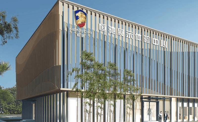 Hengchi, Tesla, Audi, Mercedes-Benz, BMW