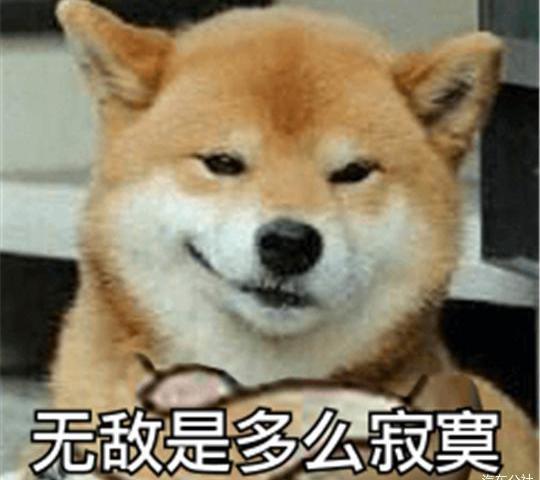 Discovery, Audi, Alfa Romeo, Mercedes-Benz, BMW