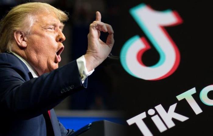 BYD, Volkswagen, Ford, Crown, Discovery