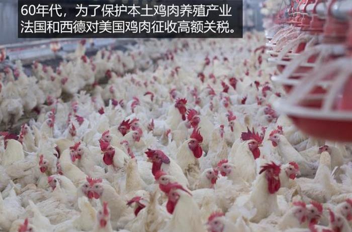 BYD, Volkswagen, Ford, Crown, Discovery