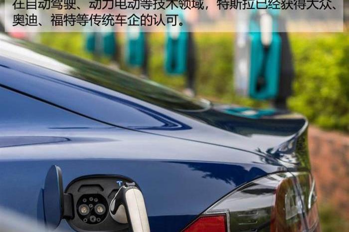 BYD, Volkswagen, Tesla, Tucki, BMW