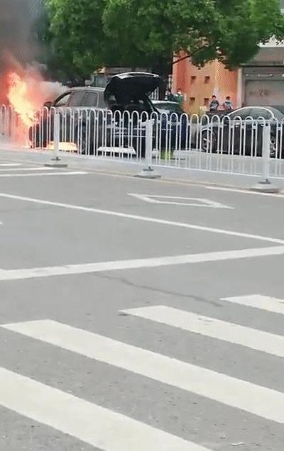 LI, Weilai, Li ONE, Tucki