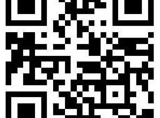 BMW, LI, Nissan, Tesla, Mercedes-Benz