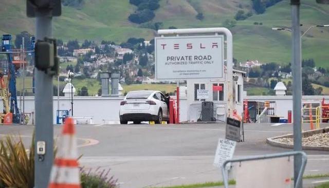 Tesla, Nissan, Subaru, Honda, Volkswagen